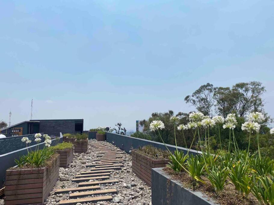 Gran Ubicacion, En La Zona De Santa Fe, King Bed Villa Ciudad de México Exterior foto